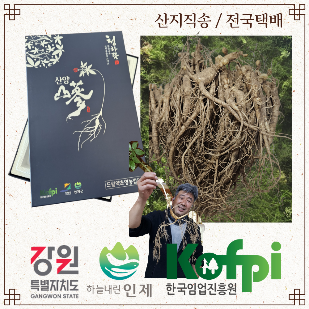 7~9년근 산양삼 데일리 섭취용, 요리용 못난이삼,100% 강원도 산지직송[자연을담은] - 상품 이미지