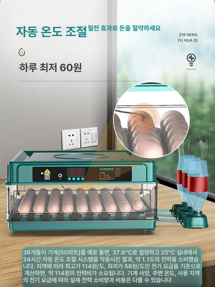 가정용 병아리 부화기 온도조절 알부화기 - 상세 이미지 4