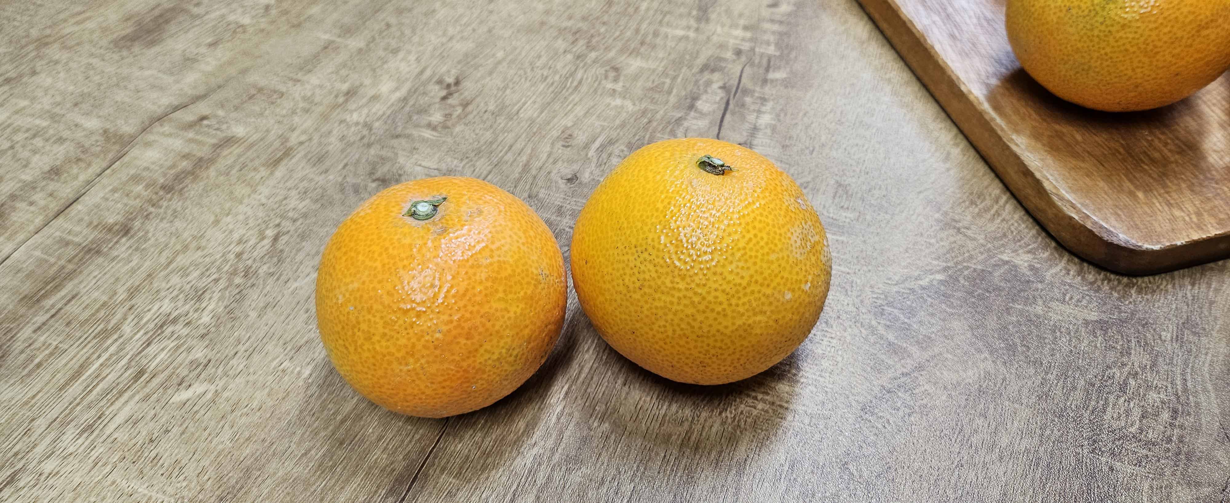 무선별 제주 가정용 황금향 귤 11Brix, 5kg, 1개 이미지 7