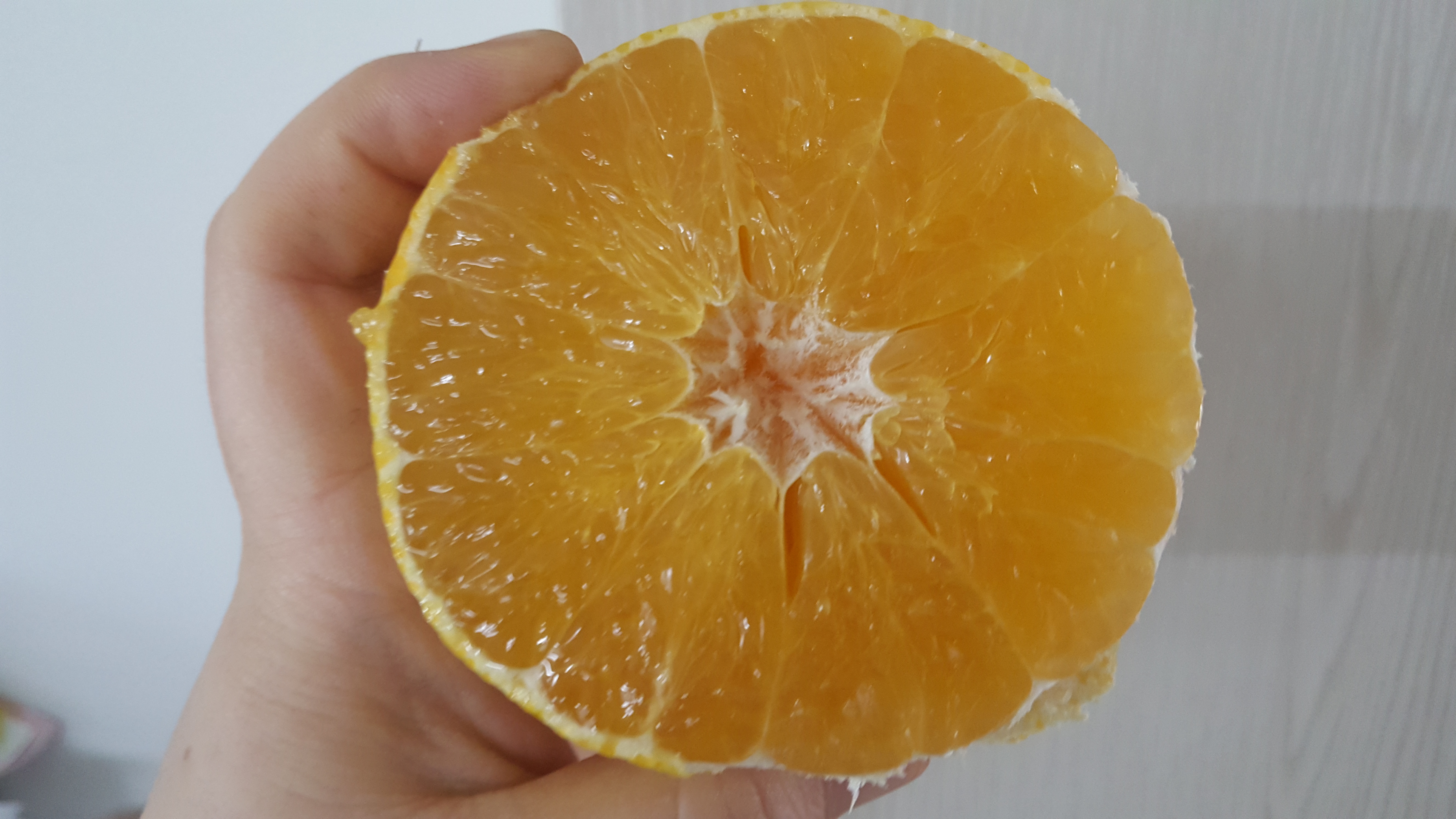 중대과 제주 가정용 황금향 귤 11.4Brix, 2.5kg, 1개 - 상세 이미지 2