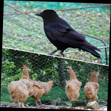 농장 방조망 닭장 보호 그물망 텃밭 까마귀 차단 농작물 피해 방지 야외용