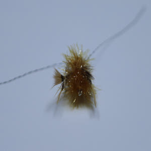 ABIBI'S GOMULSANG 수제 고양이낚시대리필 브라운버그 솔직 후기 | 실제 사용자 리뷰 총정리 - 상품 이미지 3