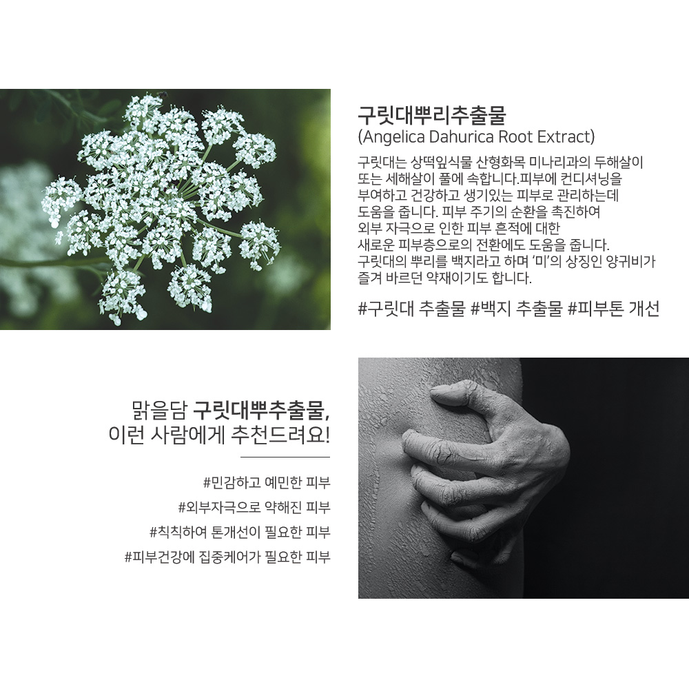 대용량 맑을담 구릿대뿌리 추출물 1L 백지 추출물 - 상세 이미지 2