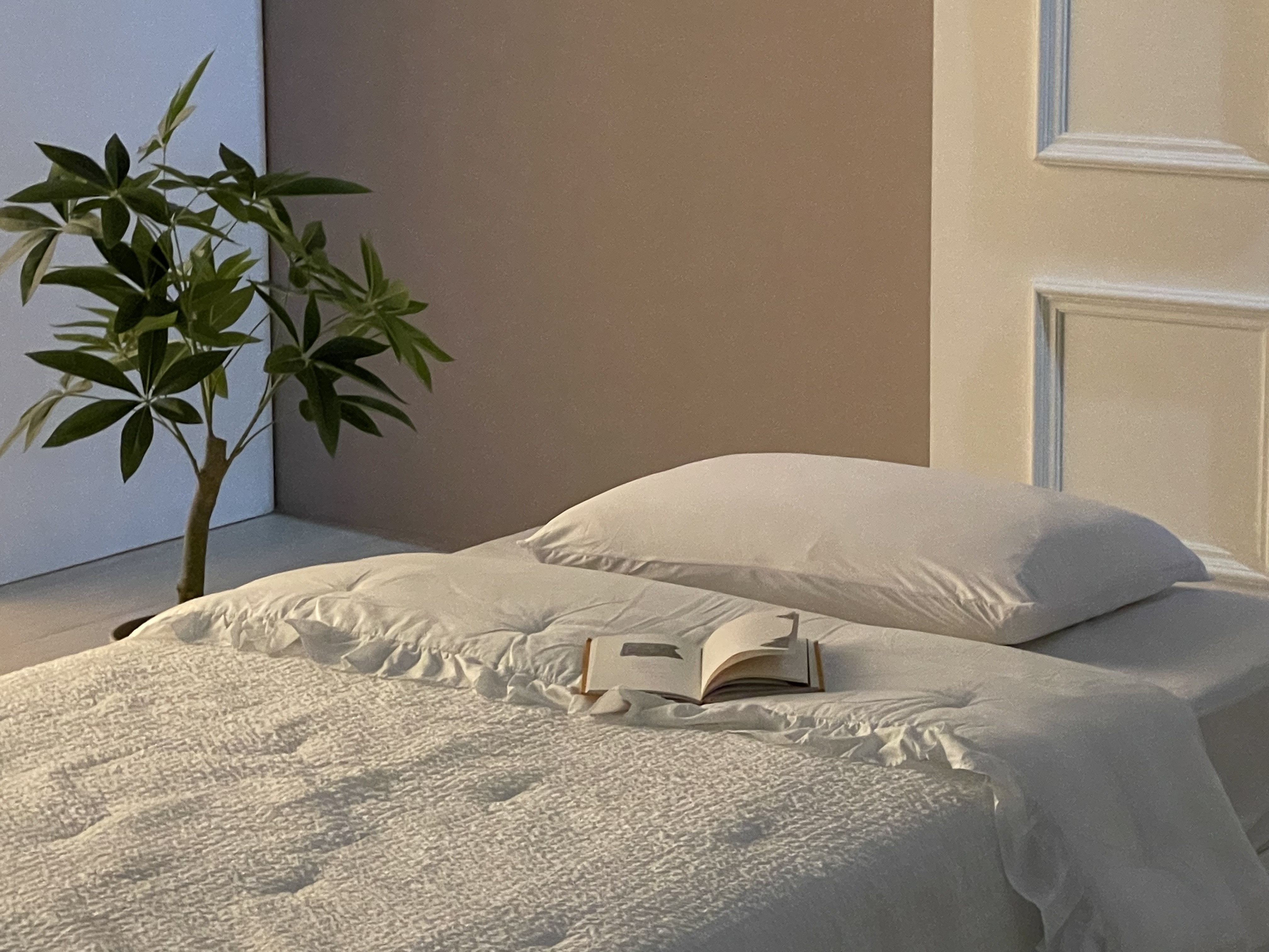 1+1 10%할인 / 2개 이상 할인 매트리스커버 방수 침대커버 진드기차단 밴드형 화이트, SS(슈퍼싱글)1100