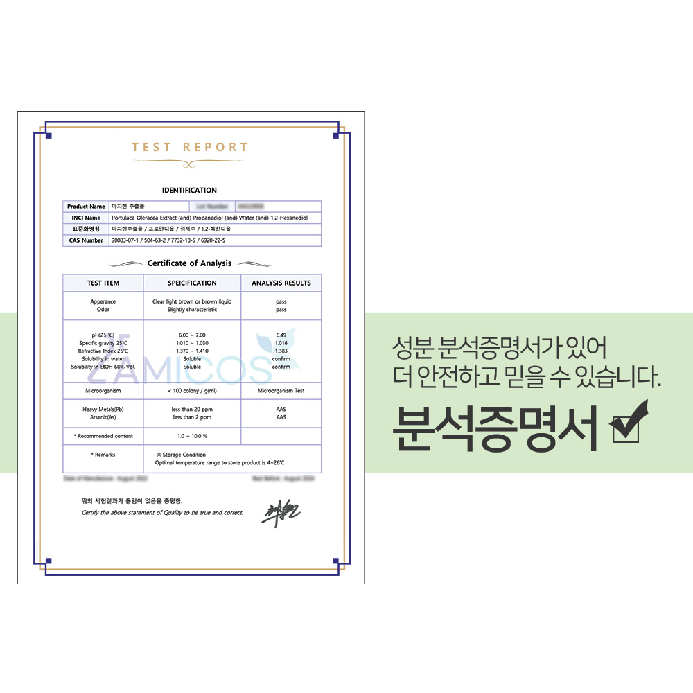 맑을담 쇠비름 추출물 원액 마치현 100ml 이미지 6