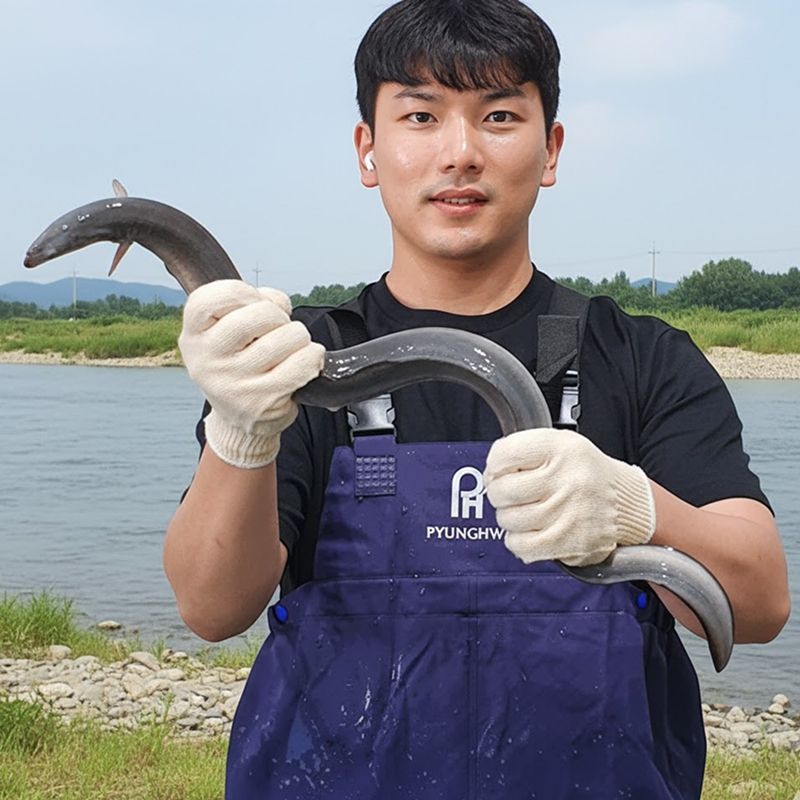 산지직송 국내산 고창 풍천 장어 양념 자연산 손질 자포니카 450g, 1개 - 상품 이미지