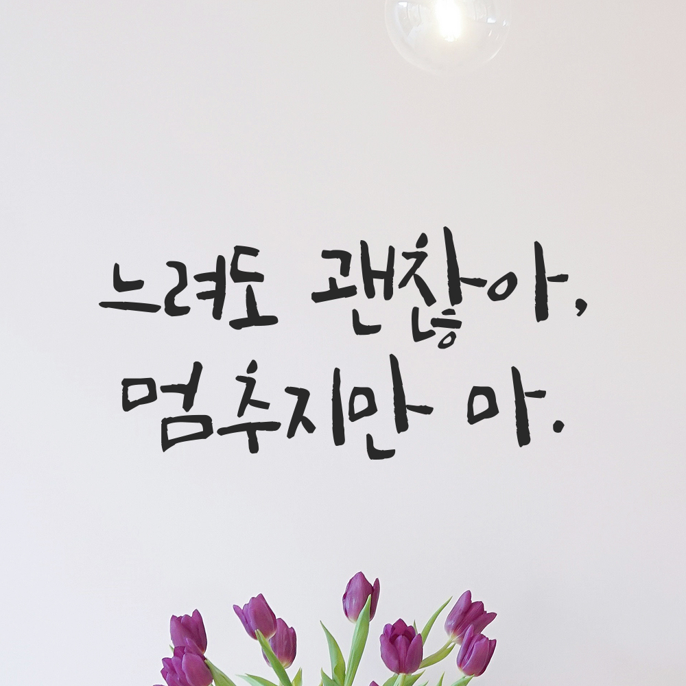캘리그라피 레터링 스티커 느려도 괜찮아 멈추지만 마 검정S 16.5x8cm 이미지 6