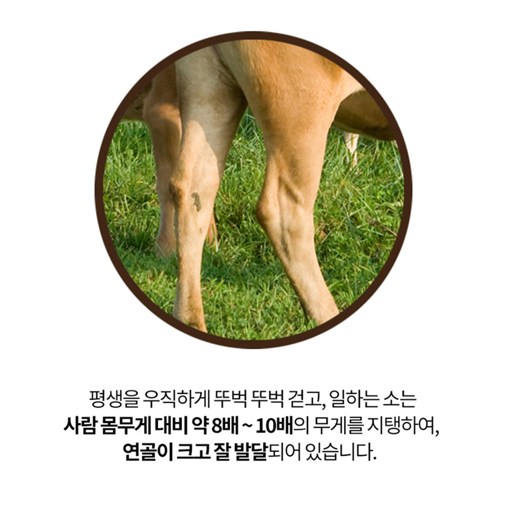 소유래 4s 콘드로이친 1200mg 소연골 콘도라이친 콘도리친 c4s 저분자 차세대 - 상세 이미지 2