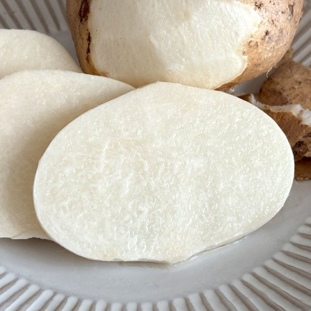 히카마 단면 이미지