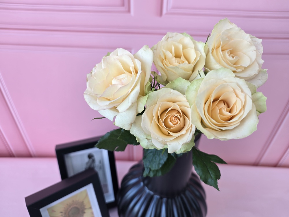 유스풀몰 랜덤 장미 꽃다발 5송이 꽃 꽃배달싼곳 생화 이미지 2