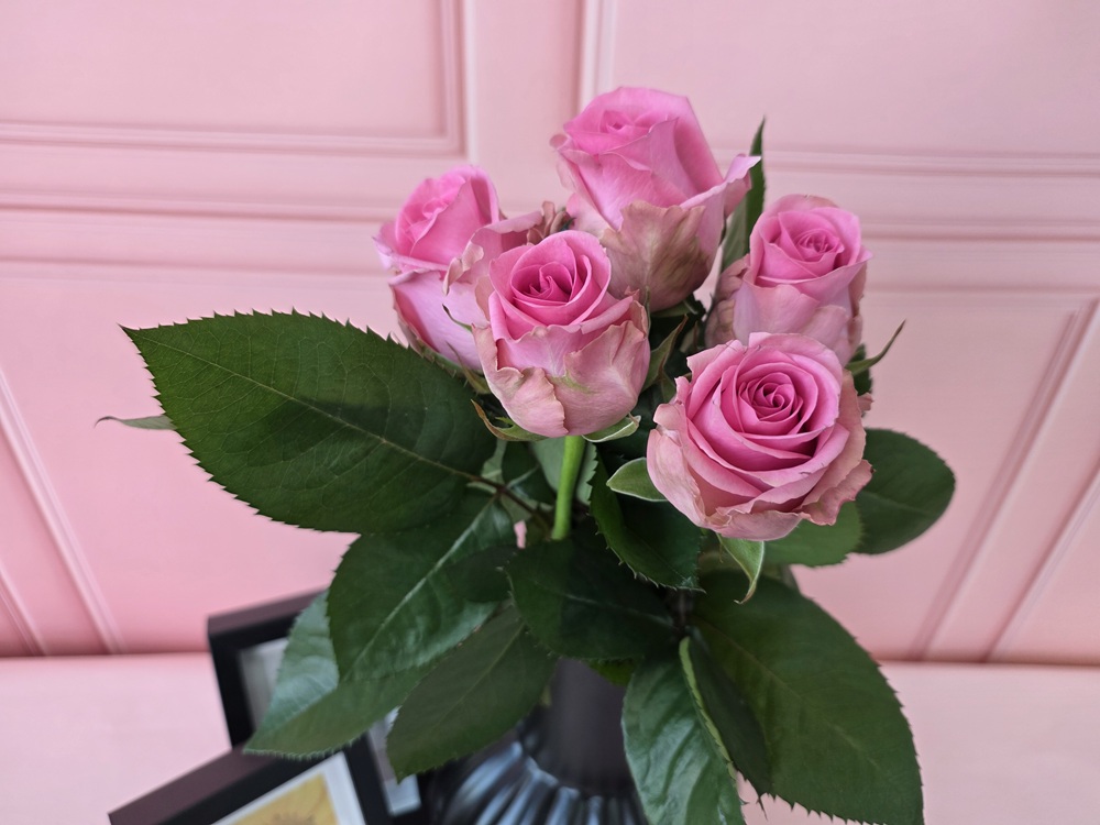 유스풀몰 랜덤 장미 꽃다발 5송이 꽃 꽃배달싼곳 생화 이미지 4