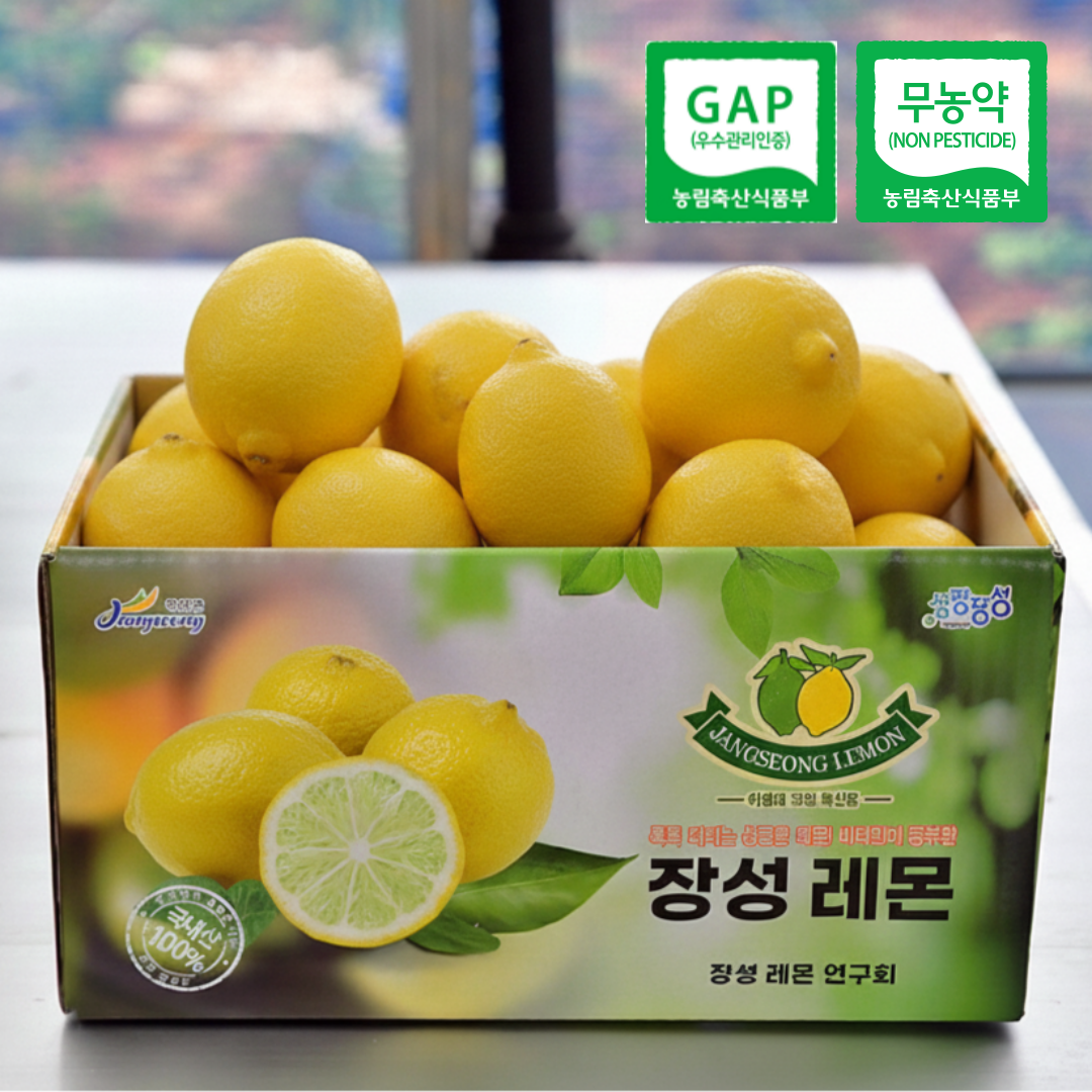 무농약 레몬 gap우수농가 (선물용+프리미엄과) 장성군 국내산 노란레몬 10kg, 1개 - 상품 이미지