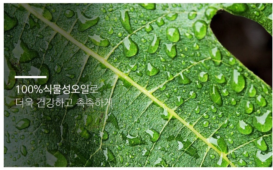 설와송 와송 바디로션 300ml 1개 이미지 7