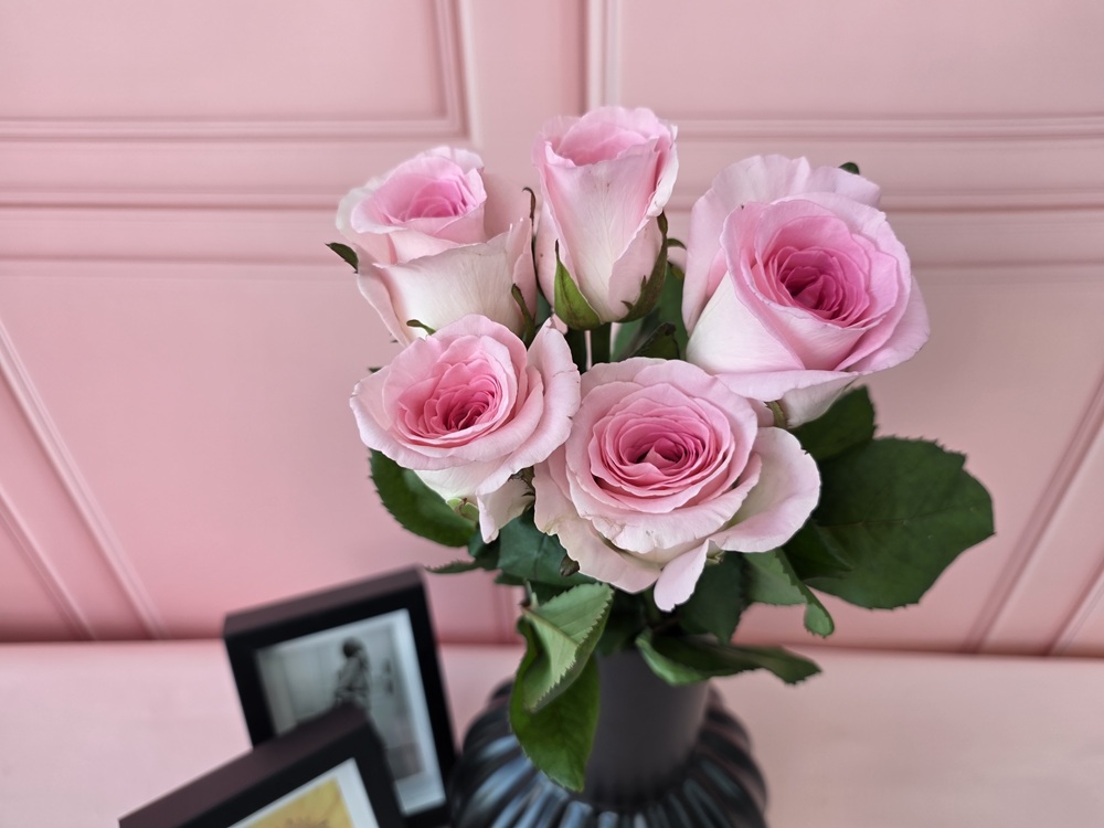 유스풀몰 랜덤 장미 꽃다발 5송이 꽃 꽃배달싼곳 생화 이미지 3