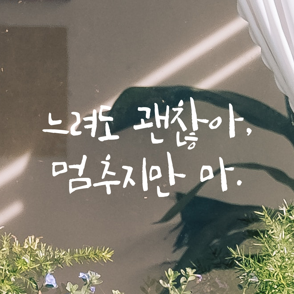캘리그라피 레터링 스티커 느려도 괜찮아 멈추지만 마 검정S 16.5x8cm 이미지 8