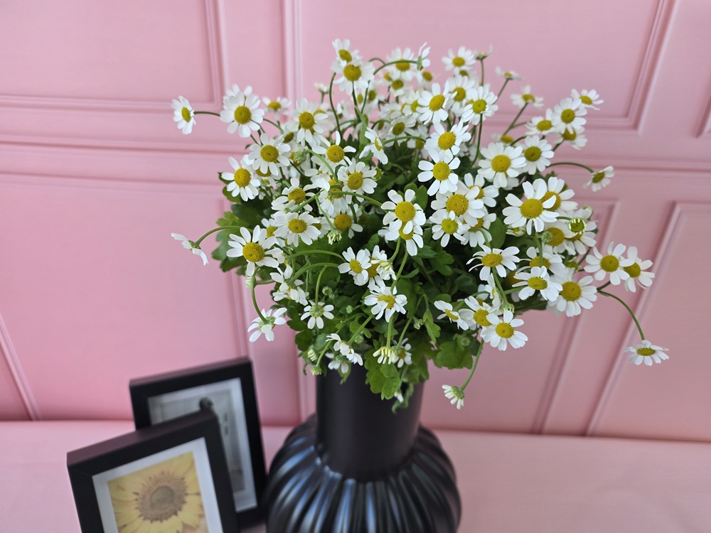 유스풀몰 마트리카리아 한단 생화택배 꽃배달싼곳 제품 이미지