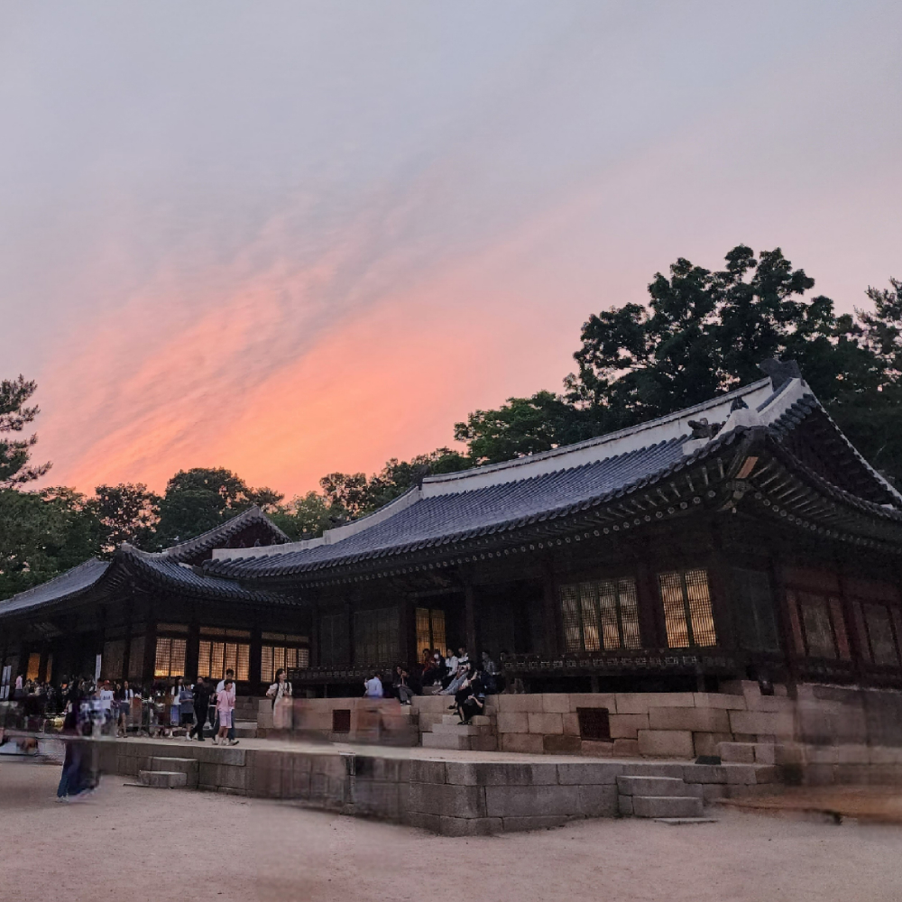 창경궁투어 서울야경투어 궁궐여행 역사체험 기업&단체연수 서울가볼만한곳 외국인단체 이미지 6