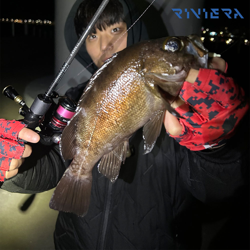 리비에라 사지타 전갱이 볼락 아징 낚시대 루어대 라이트게임 로드 S-5112UL 이미지 7