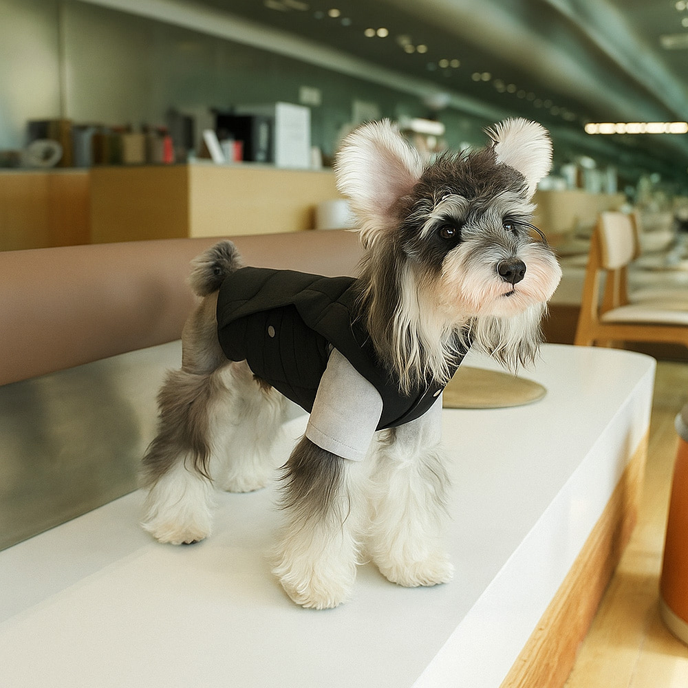 개과천선 코일리 패딩조끼 강아지옷 고양이옷