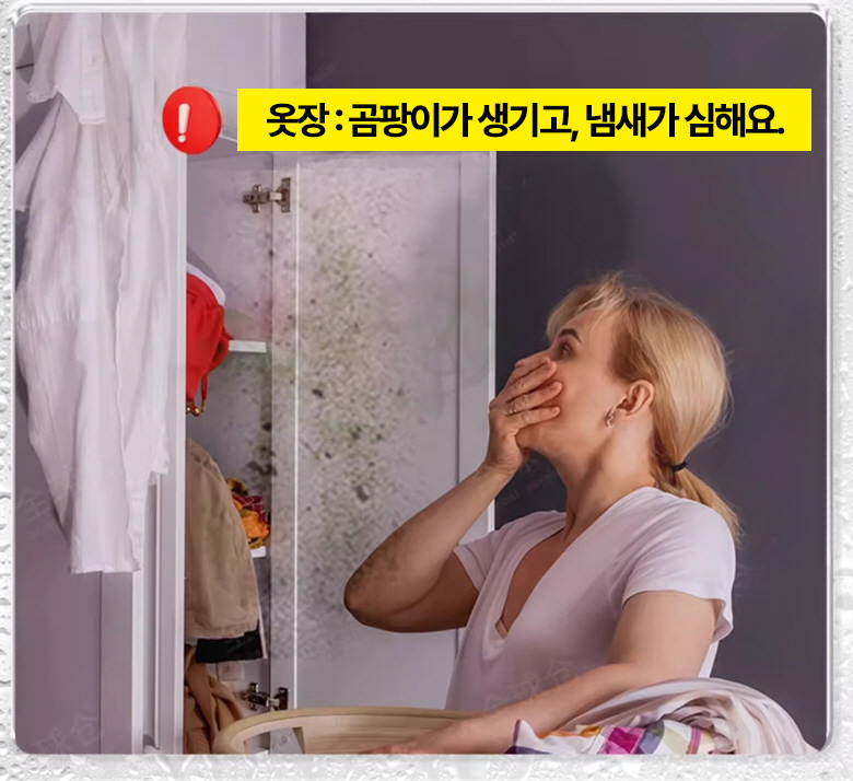 아로센트가드 1+1 방충제 좀벌레 퇴치 곰팡이 옷장 서랍장 아로마향 48개입, 96개 - 상세 이미지 3