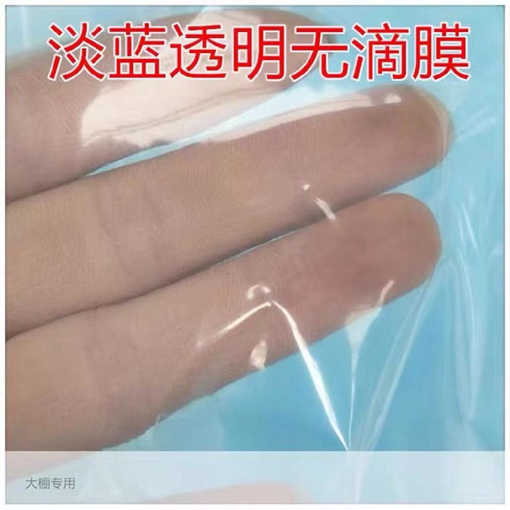 소형 비닐하우스 지지대 4mm 6mm 2m 활대 미터 뼈대 온실 폴대 폭 2.5m 길이 5m - 상세 이미지 5