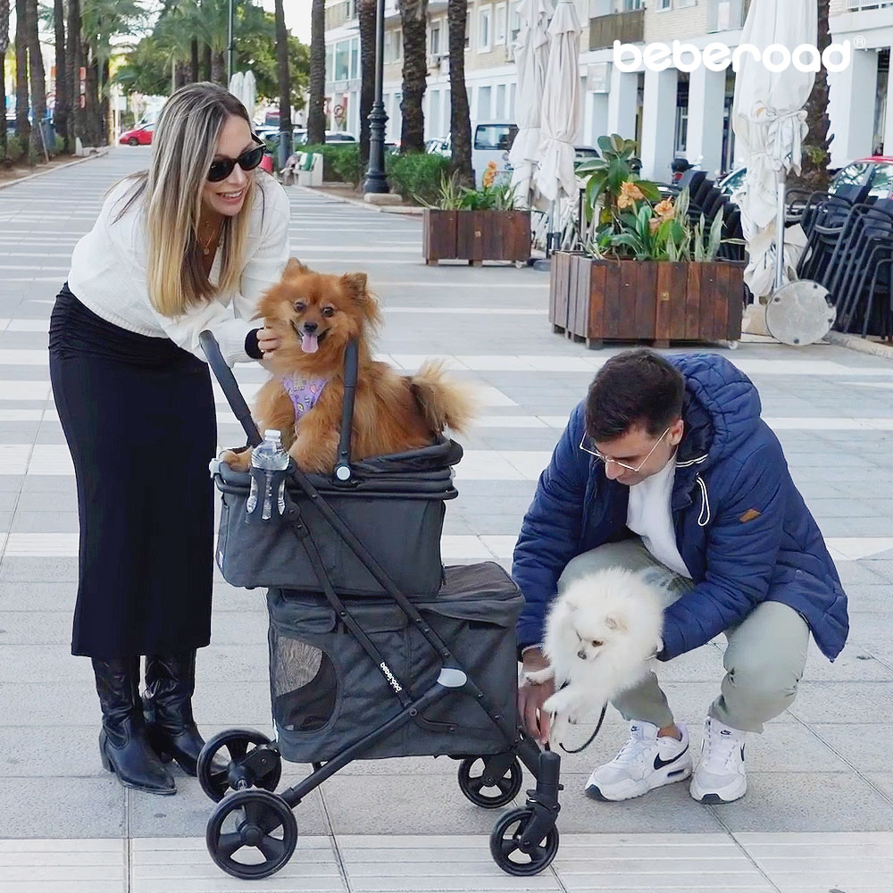 베베로드 T1 2인용 강아지 애견 유모차 분리형 접이식 캐리어 블랙