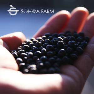 2025년 국산 소만콩 1kg 검은콩 검정콩 맛있게 먹은 솔직 후기 - 상품 이미지 1