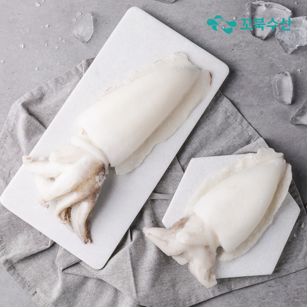갑오징어 5kg 냉동 업소용 손질 오징어 태국 인도네시아 베트남 이미지 2