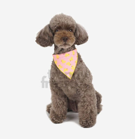 데이슬롯 핑크 덕 머플러 M-L 2개 애견머플러 펫스카프 강아지스카프빕