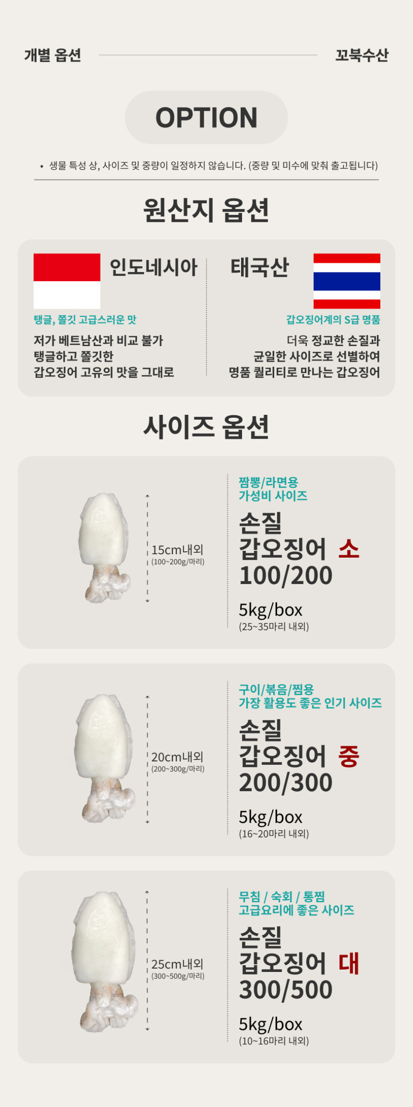 갑오징어 5kg 냉동 업소용 손질 오징어 태국 인도네시아 베트남 판매처 상세 정보 이미지 2