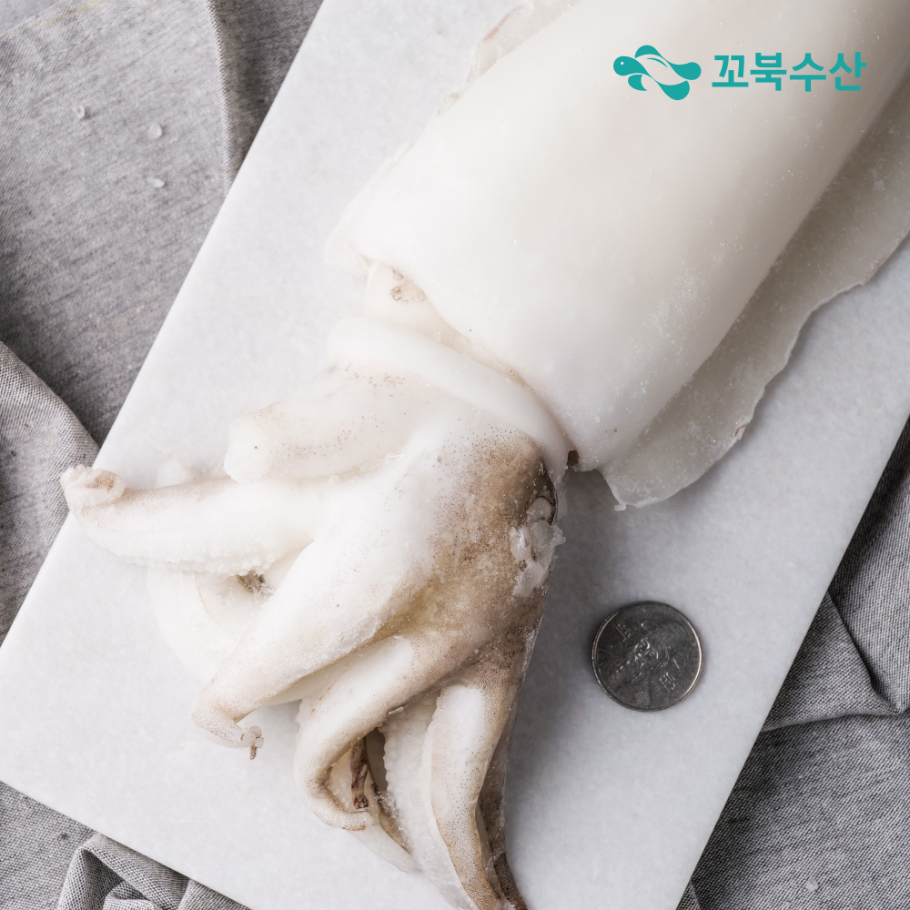 갑오징어 5kg 냉동 업소용 손질 오징어 태국 인도네시아 베트남 이미지 3