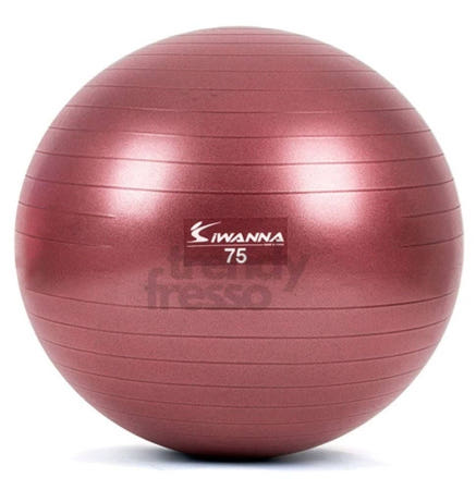 트렌디프레소협력사 데이슬롯 안티버스트 짐볼 75cm 루비와인 마사지짐볼