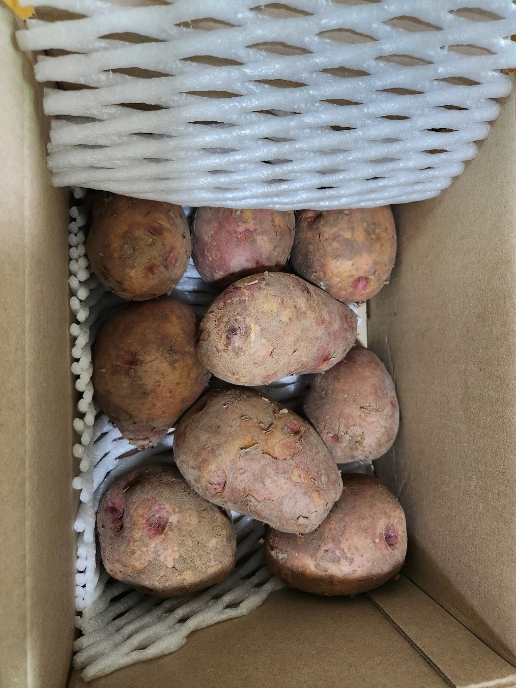 포슬한 카스테라 빨간 홍감자 특, 3kg, 1개 이미지 6
