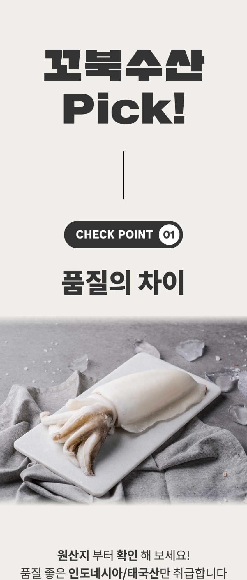 갑오징어 5kg 냉동 업소용 손질 오징어 태국 인도네시아 베트남 판매처 상세 정보 이미지 3