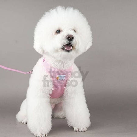 [트렌디프레소협력사]데이슬롯 반려동물 매쉬하네스 XL 핑크 야외용품 건강 생활