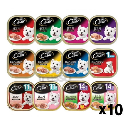 [트렌디프레소협력사]데이슬롯 시저캔 100gx10 애견습식 주식캔 영양간식 반려견간식 애완동물용품