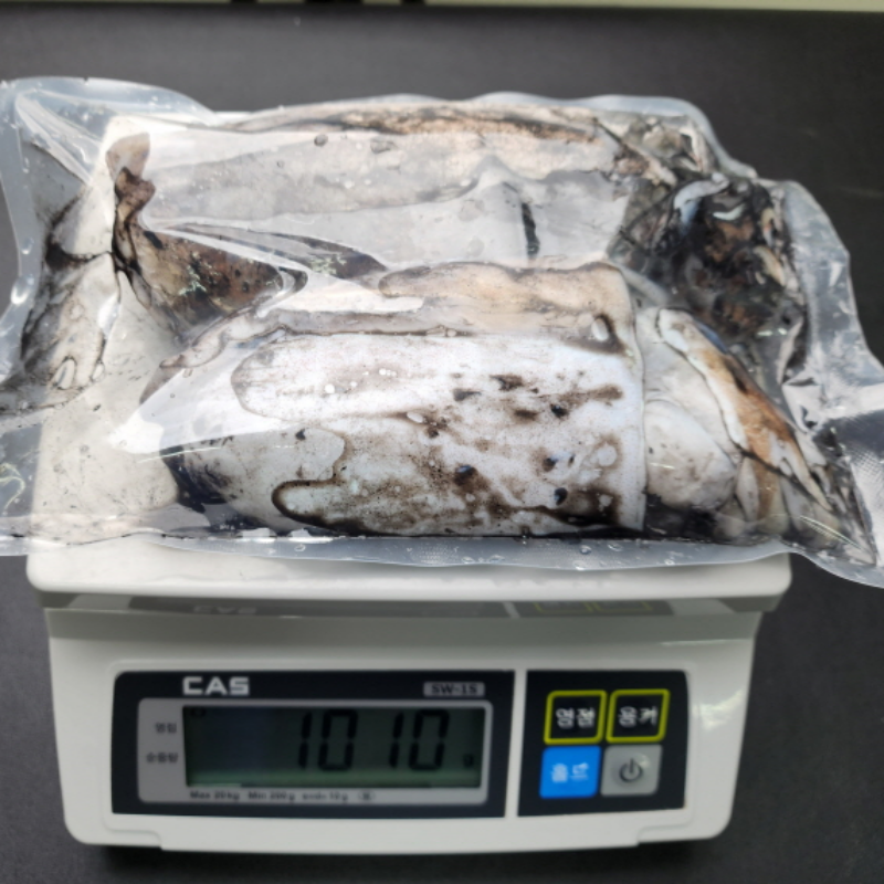 자연가득 먹물과 녹진한 내장이 가득 생물 특대갑오징어 1kg 이미지 6