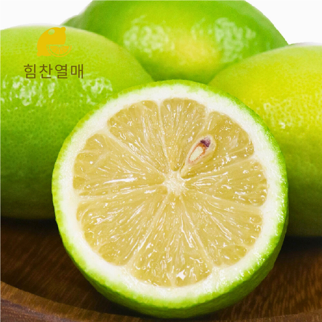 제주레몬 청레몬 무농약 산지직송 국산 - 상품 이미지