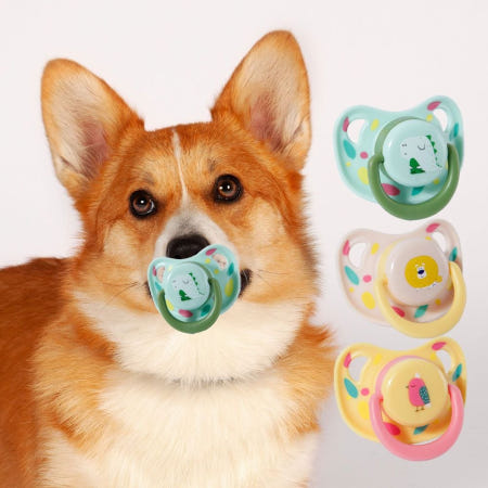 [별별샵협력사]님아 강아지 쪽쪽이 강아지치아용품 공갈젖꼭지 인생샷쪽쪽이 애견심신안정