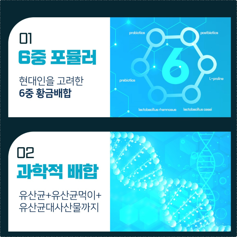 포스트바이오틱스 유산균 1통 락토바실러스가세리 람노서스 포스트바이오스틱 - 상세 이미지 4