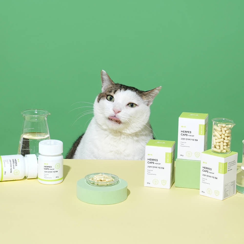 본아페티 허피스캡스