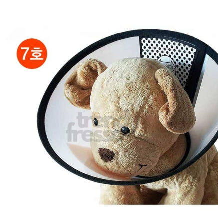 [트렌디프레소협력사]데이슬롯 강아지 목보호 넥커버 7호 3개 귀관리 눈관리 고양이넥카라