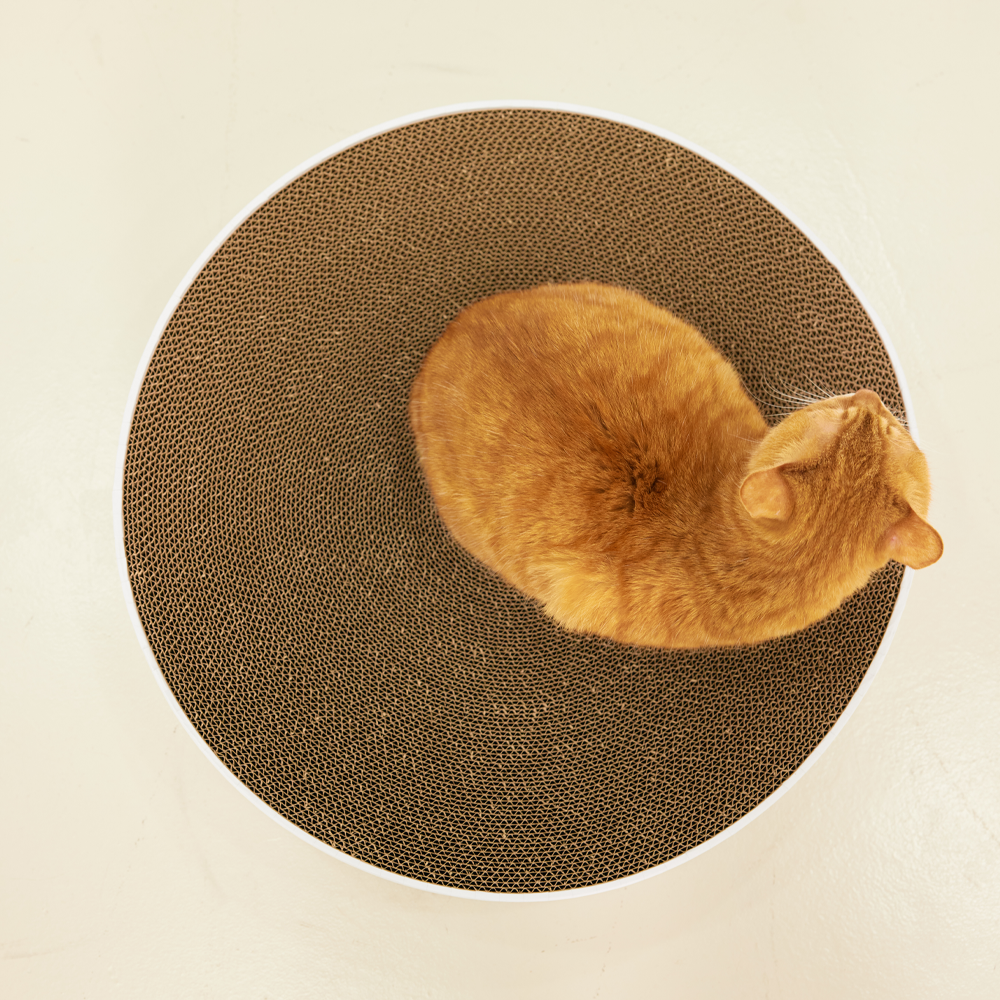 3651 벅벅 고강도 둥지 원형 고양이 스크래쳐