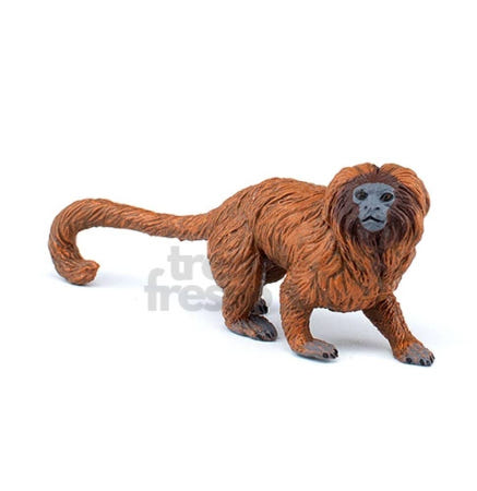 [트렌디프레소협력사]데이슬롯 황금사자 피규어 자연과학완구 파포동물피규어