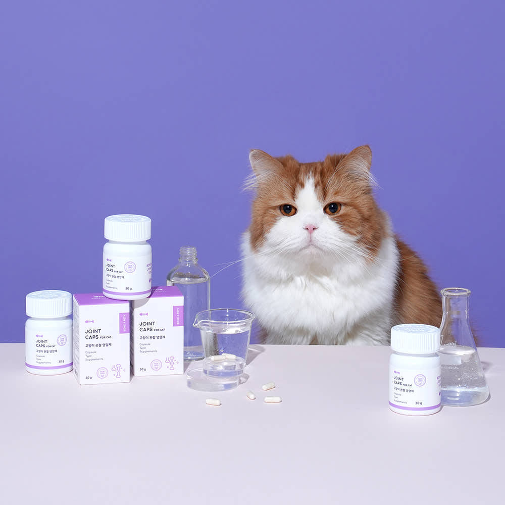 본아페티 조인트캡스포캣