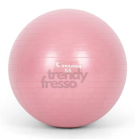 [트렌디프레소협력사]데이슬롯 안티버스트 짐볼 55cm 와일드핑크 홈트운동 짐볼운동