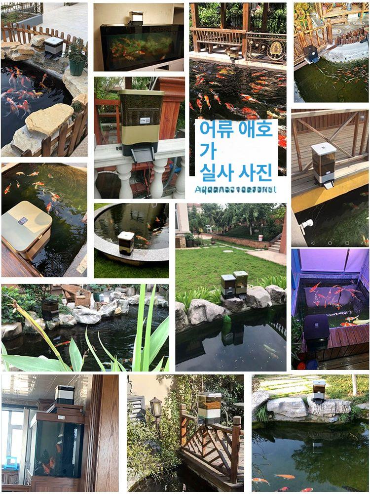 스마트 어항 자동 먹이 수족관 조명 수조 관상어 관리 시스템 - 상세 이미지 3