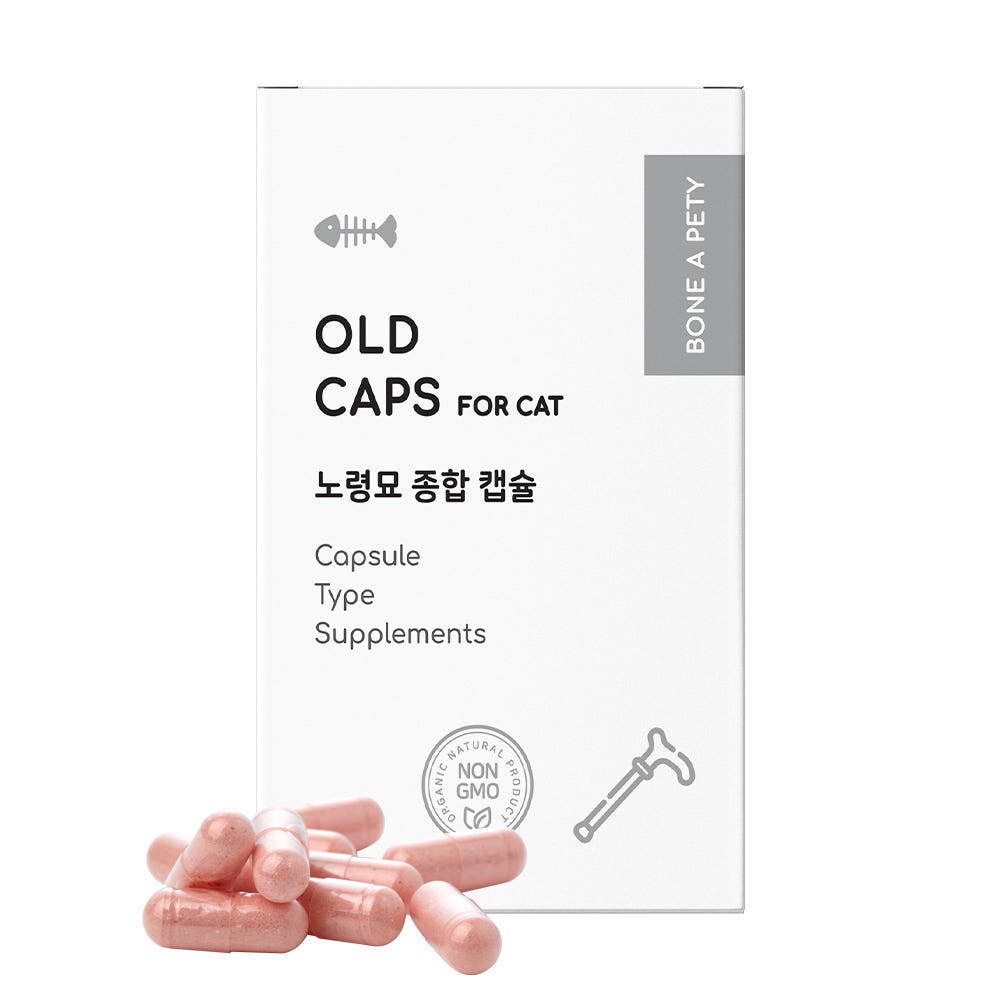 본아페티 노령묘 종합 영양제 올드캡스포캣 고양이 노화 구내염 관절 면역 60캡슐, 1개 제품 이미지
