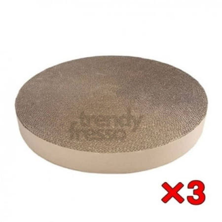 데이슬롯 띵가띵가 스크레쳐3 고양이 반려동물 생활