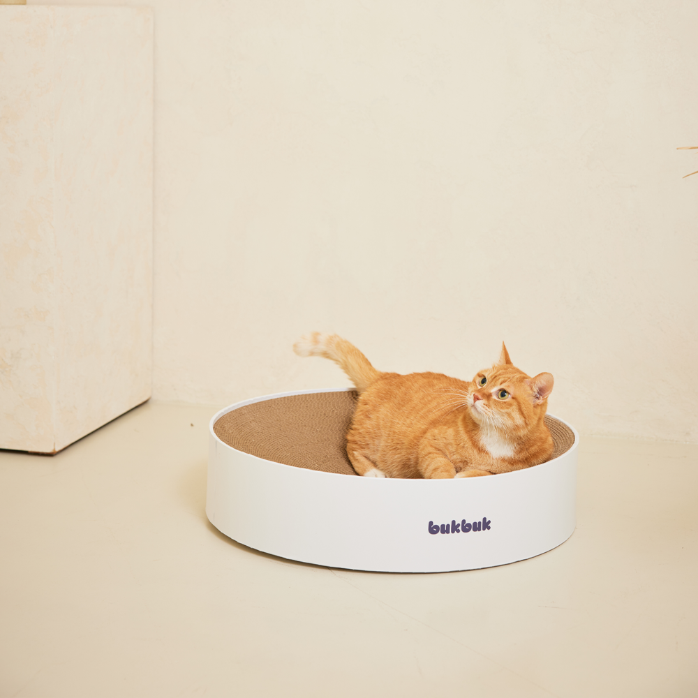 3651 벅벅 고강도 둥지 원형 고양이 스크래쳐